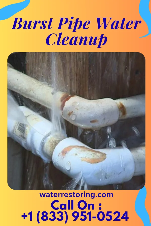 Burst Pipe Water Cleanup in Port Washington, OH