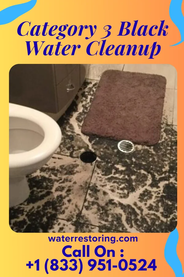Category 3 Black Water Cleanup in Port Washington, OH