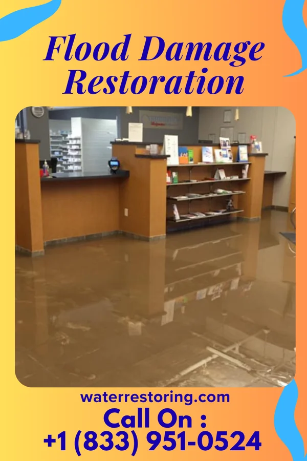 Flood Damage Restoration in Port Washington, OH