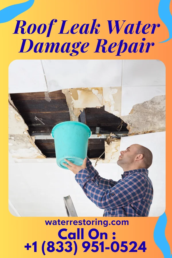 Roof Leak Water Damage Repair in Port Washington, OH