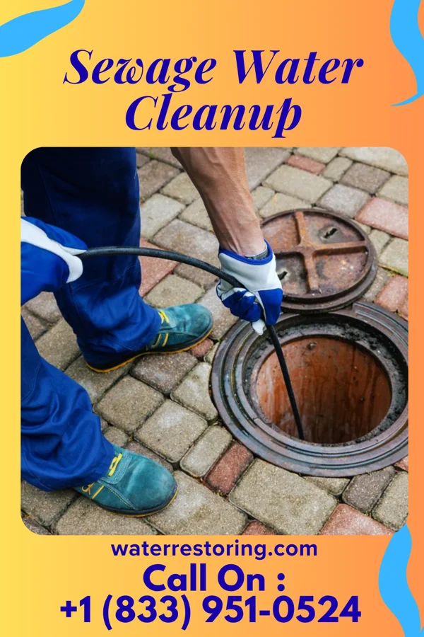 Sewage Water Cleanup in Port Washington, OH